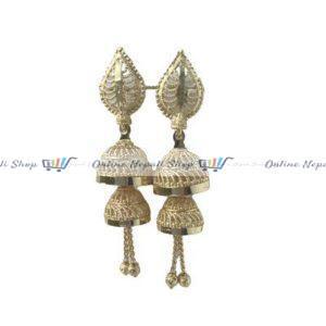 A pair of Earrings - Double Cage