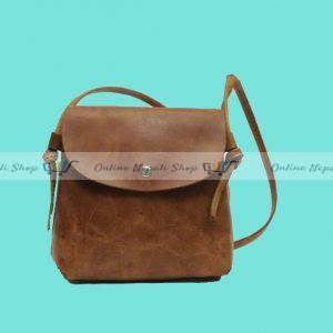 Small, Portable Messenger Bag
