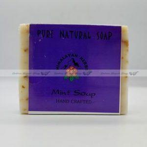 Anti-Bacterial Herbal Mint Soap