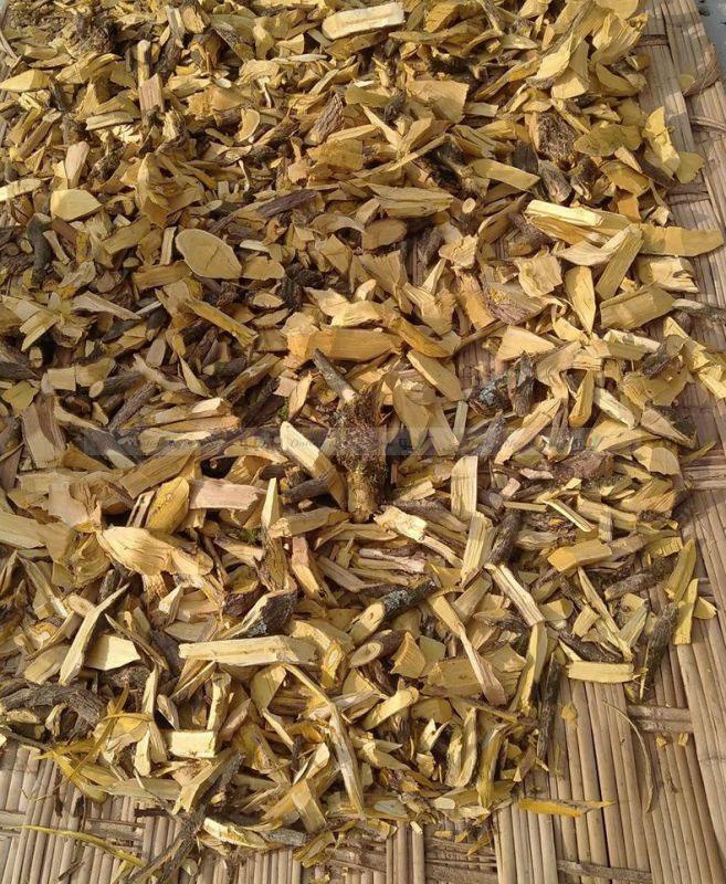 Natural Medicinal Berberis SPP Chutro