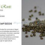 Pure Natural Hemp Seeds