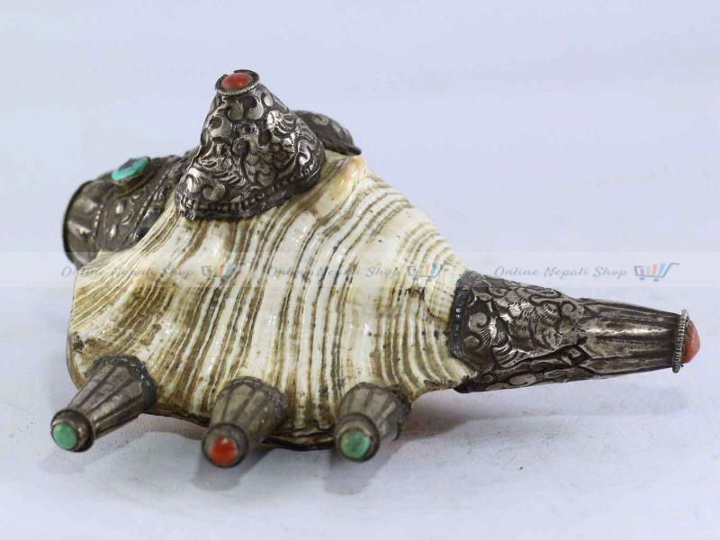 Traditional Conch Shell