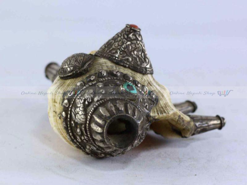 Traditional Conch Shell - Image 2