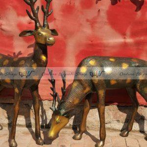 Couple Deer