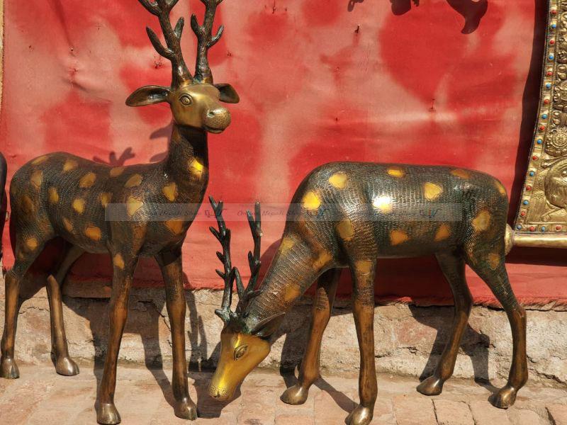 Couple Deer