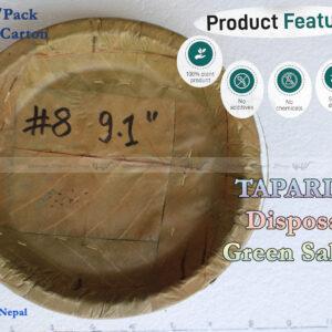 TAPARI 9.1″ Disposable Green Sal Leaf